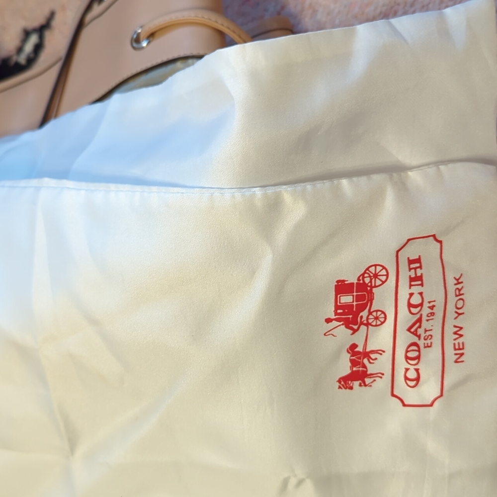 Coach bag๐ฅ๐ฅ๐ฅ - Picture 9 of 9